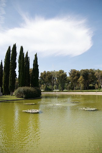 Cimitero e Sacrario Americano Nettuno