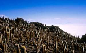 Deserto di Sale