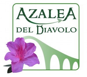 logo azalea del diavolo borgo a mazzano