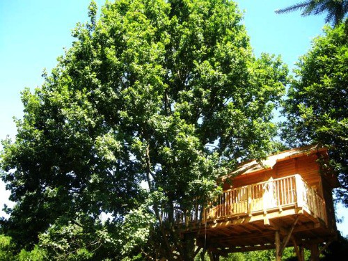 Casa-sull-albero Casa sull albero