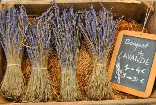 Lavanda Avignone