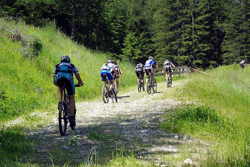 MBT Dolomiti del Brenta