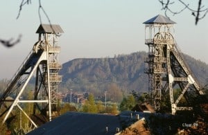 Bois du Cazier