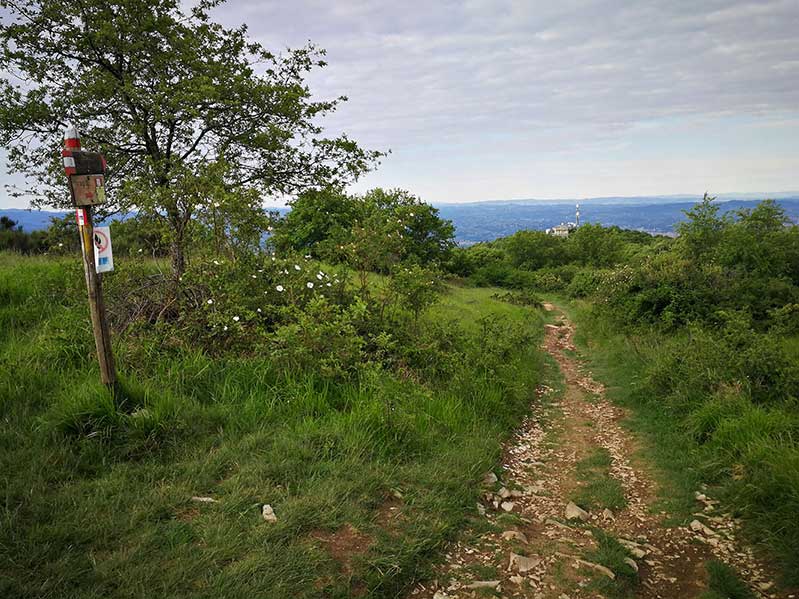 Tratto toscano sentiero degli Dei