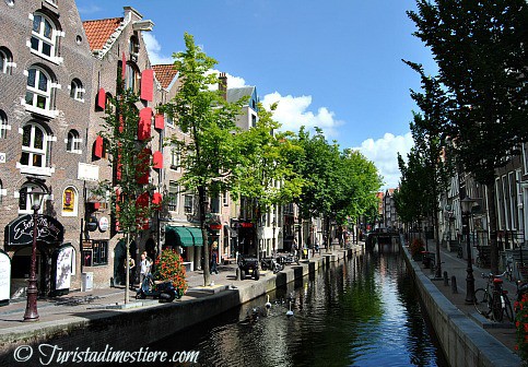 Red Light District_Amsterdam