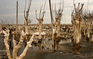 Villa Epecuén