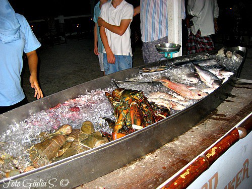 Perhentian-Island_fish