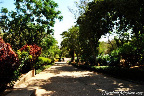 Chellah_sentiero-Rabat