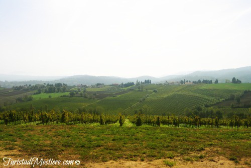 Panorama dal Carapace, Tenuta Castelbuono