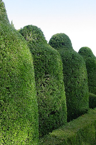 Giardini di Marqueyssac