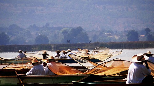 Pescatori Farfalla