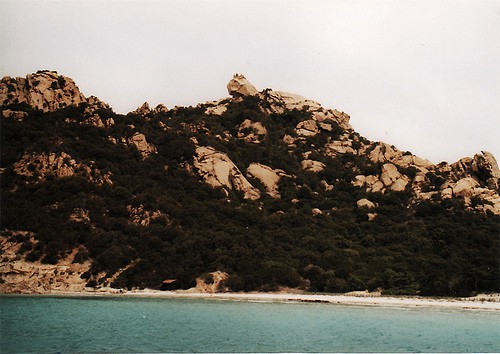 leone-di-roccapina-corsica