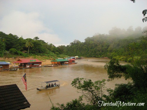 Sungai Tembeling taman Negara Malesia
