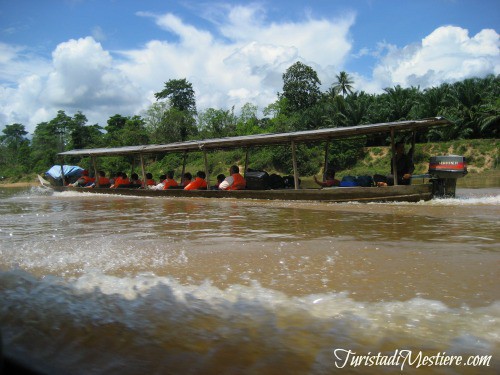 Sungai-Tembeling-Taman-Negara-Malesia-piroga