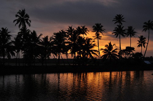 Alappuzha