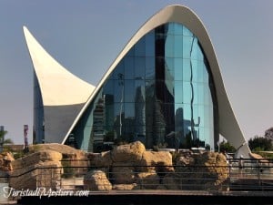 Valencia l'Oceanografic