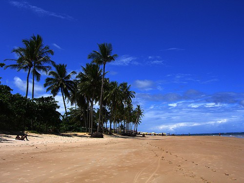 Praia dos Coqueiros 