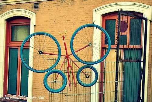 Sculture-di-animali-realizzate-con-pezzi-di-biciclette-Amsterdam