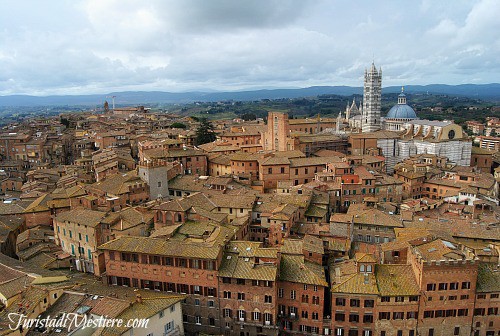 Panorama-Torre-del-Mangia-Siena