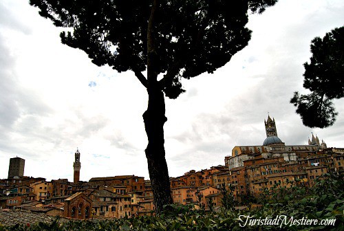 Scorcio nei pressi di San Domenico a Siena