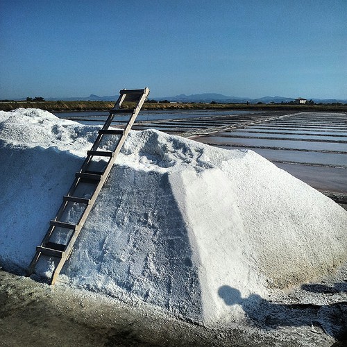 SalinaCamillone Cervia
