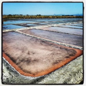 Salina Camillone - Cervia
