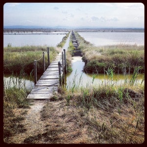 Salina di Cervia