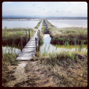  Salina di Cervia 