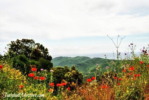 Trekking lungo le Vie del Granito