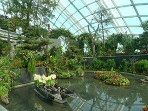 Cloud Forest