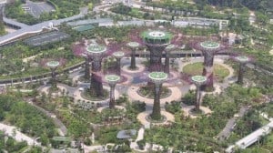 Veduta aerea sui Supertree