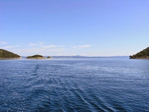 Mrcara croazia isola