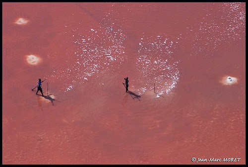 Retba lago rosa senegal sale