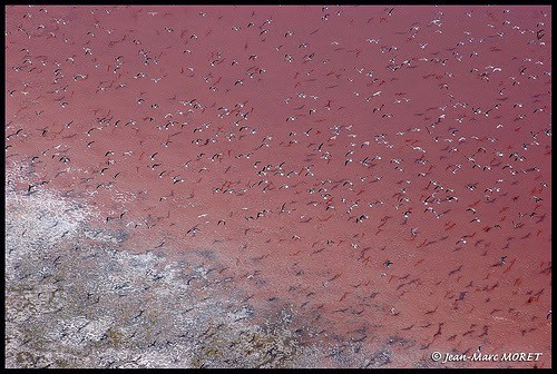 Lago Retba in Senegal