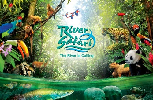 River-Safari-Singapore River Safari Singapore