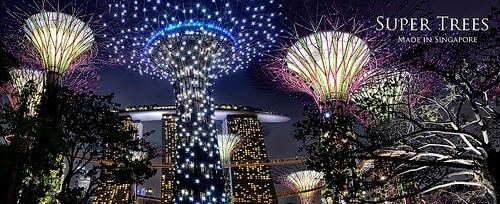 Super-trees-Singapore Super trees Singapore
