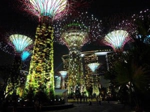 Supertree Grove