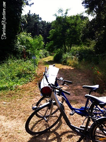 Bike-Pineta-Milano-Marittima