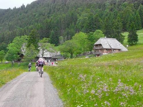 ciclismo nella foresta nera