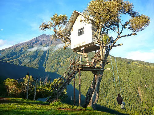 Casa del Arbol