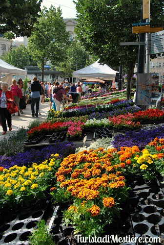 Mercato-fiori-Gent