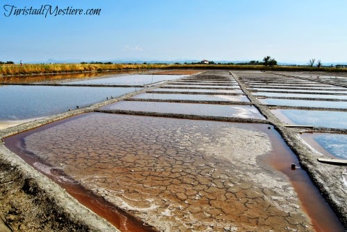 Salina-Camillone-Cervia