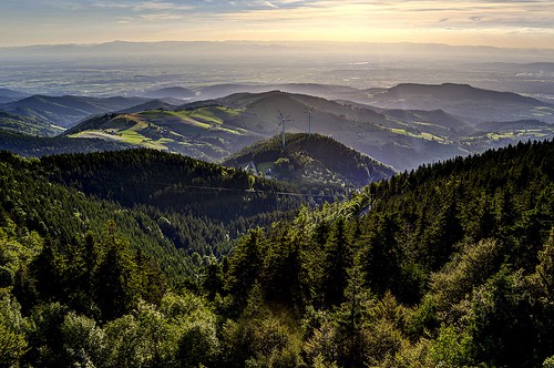 La Foresta Nera