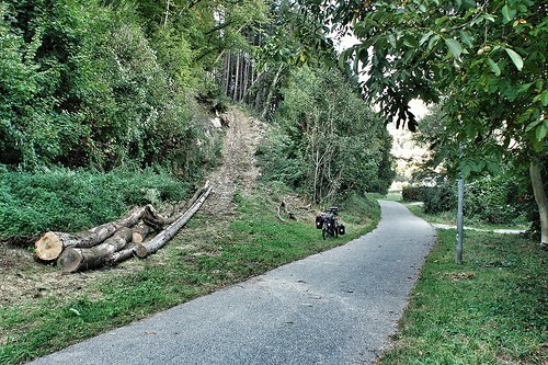 percorso ciclabile foresta nera germania