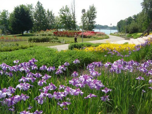 Isola della Buona Speranza 