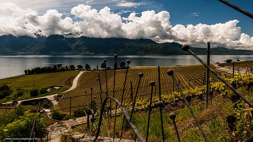 Lavaux autore DeGust