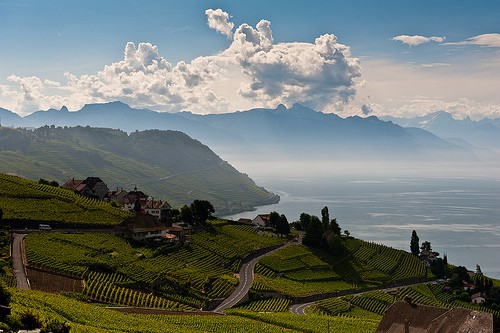 Vigneti di Lavaux