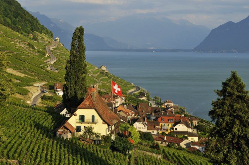 Vigneti di Lavaux