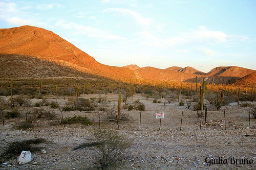 Alrededores de La paz, Baja California Sur