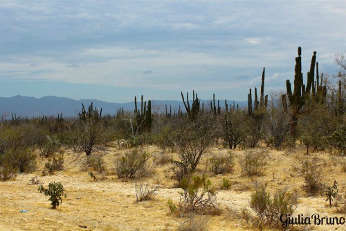 Alrededores de La paz Baja California Sur
